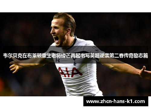 韦尔贝克在布莱顿重生老将锋芒再起书写英超逆袭第二春传奇励志篇